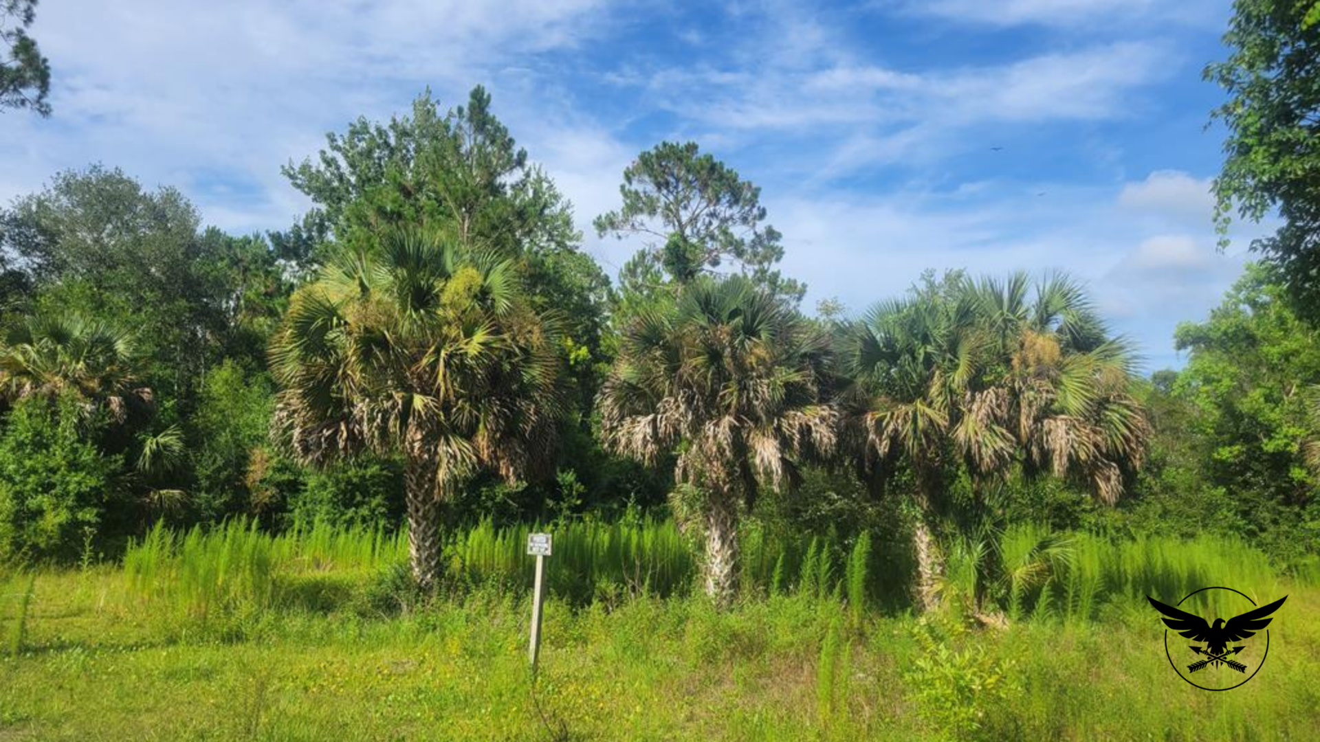Florida Infill Lot Sold in Two Months