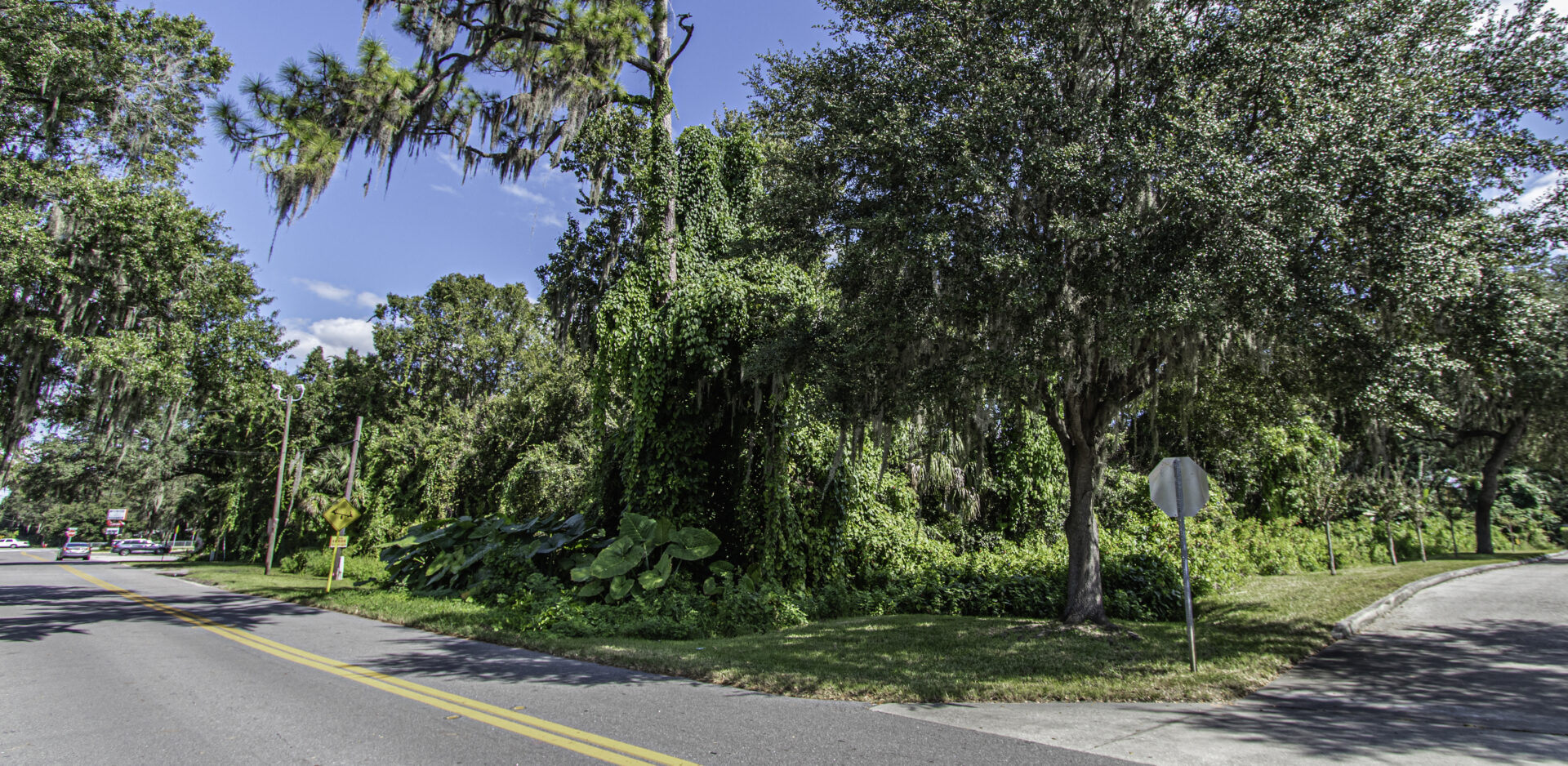 $11K Profit on Great Infill Lot in Florida