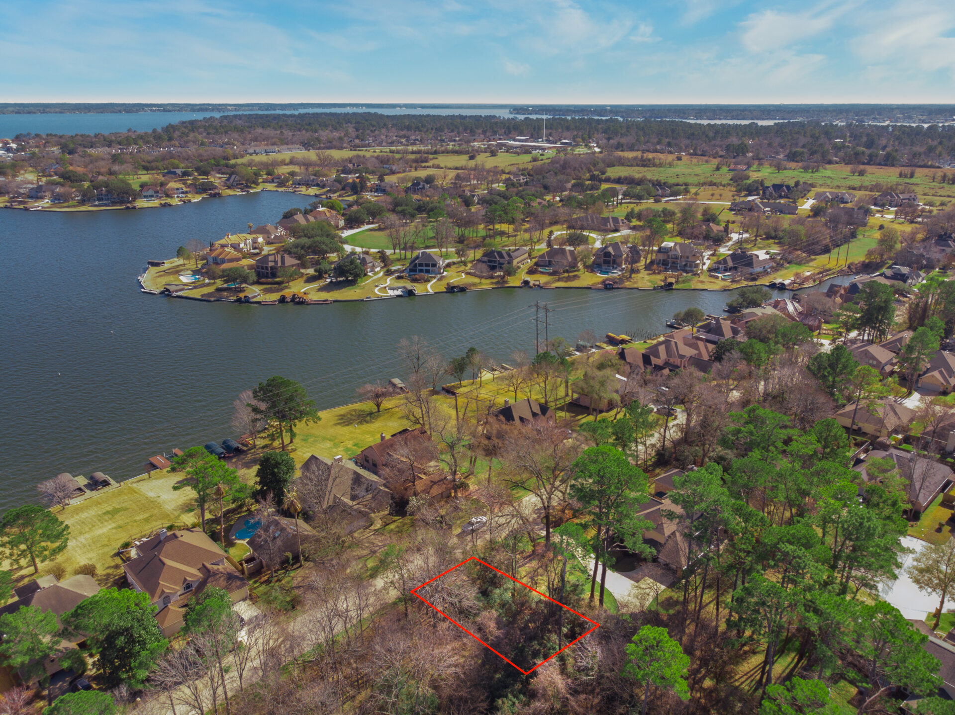 Woodland Wonders and Financial Triumph: Calen’s $8,596 Profit in Montgomery County, TX